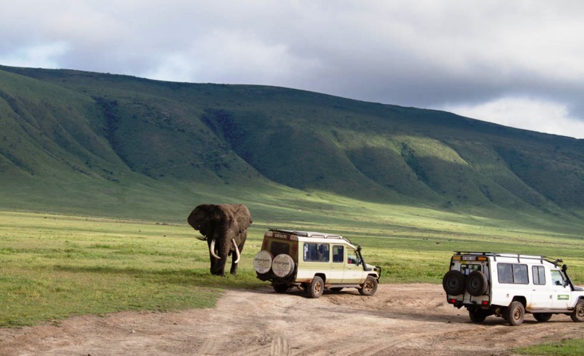Ngorongoro Crater