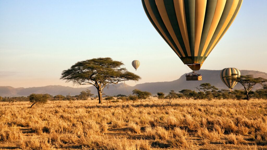 8 Day Self drive Tanzania Safari 