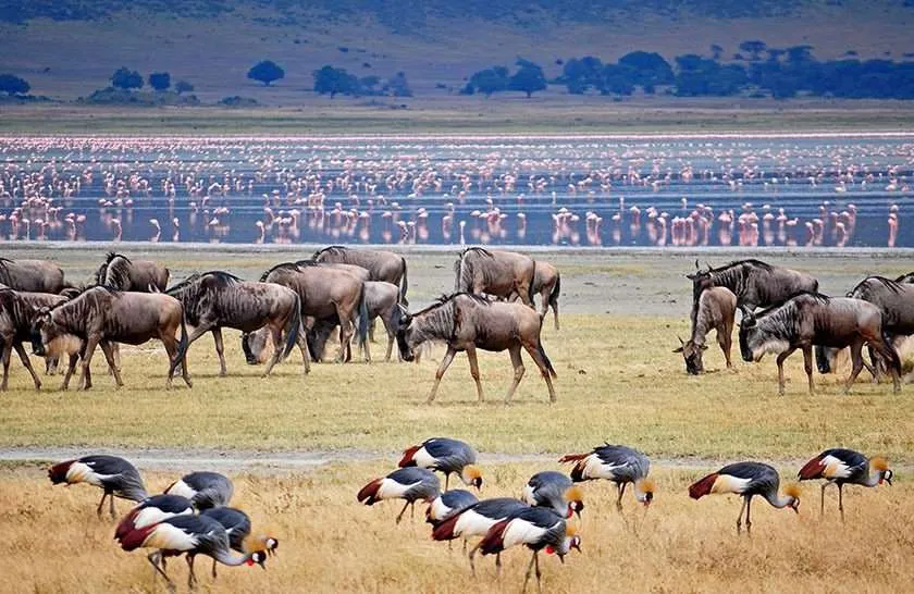 Lake Manyara National Park